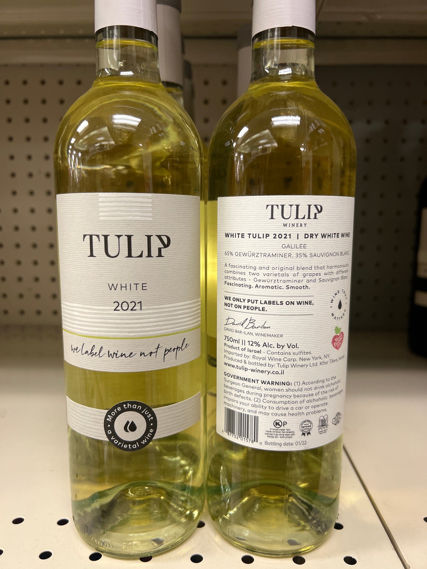 Tulip White Tulip Galilee 2021 NOT Mevushal
