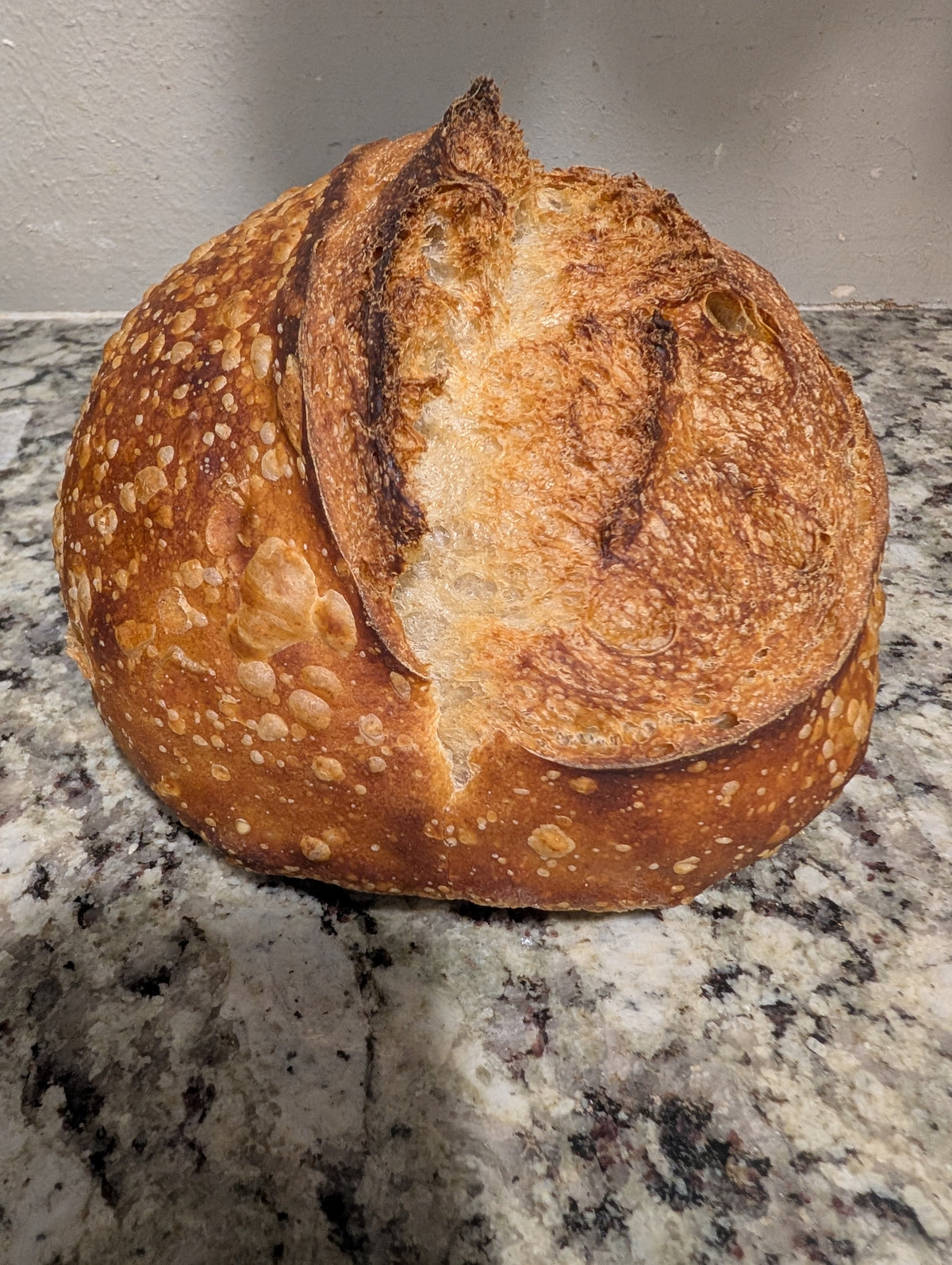 Crumbs. Rustic round sourdough plain bread.