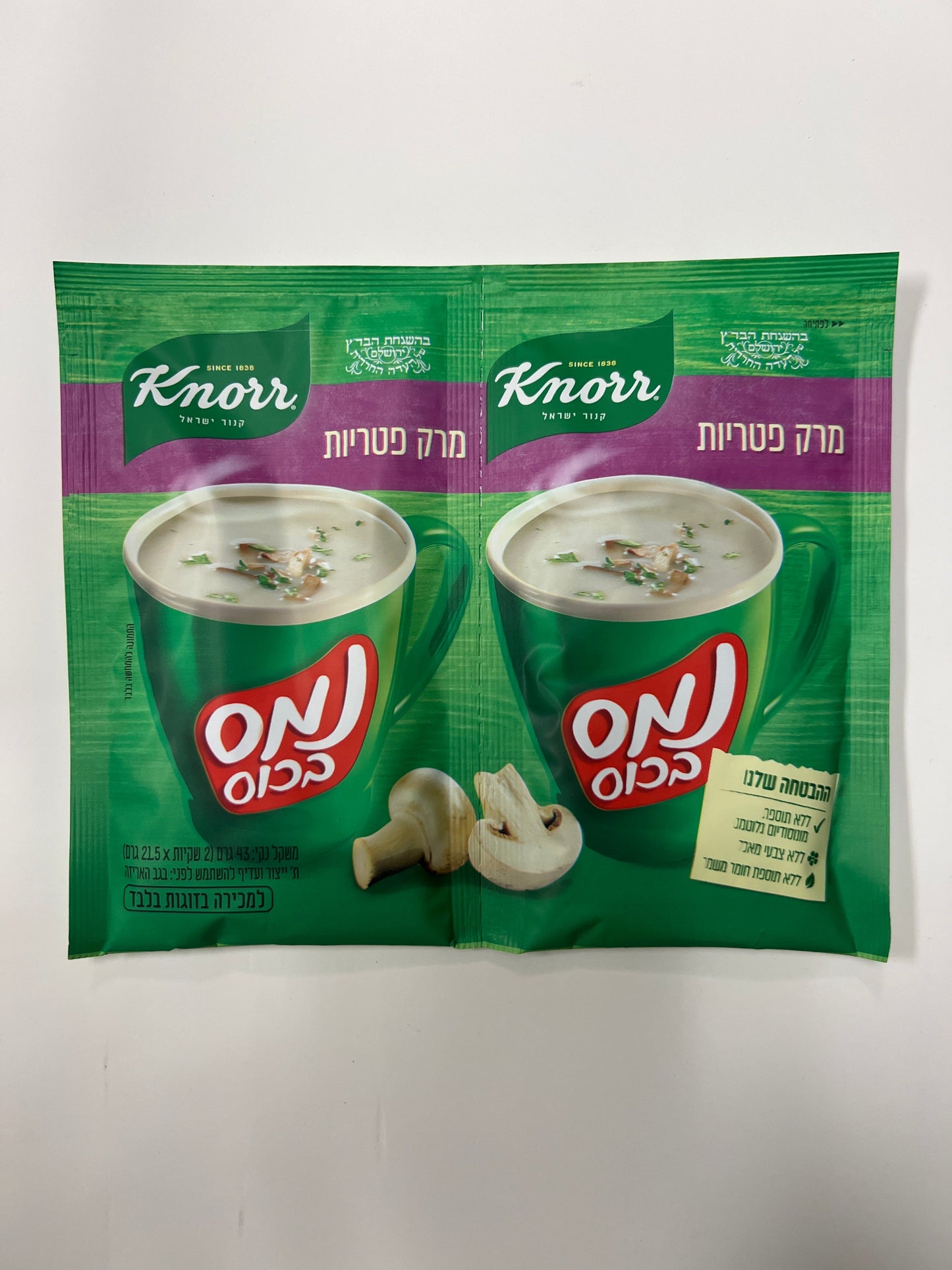 Knorr mushroom flavored soup mix