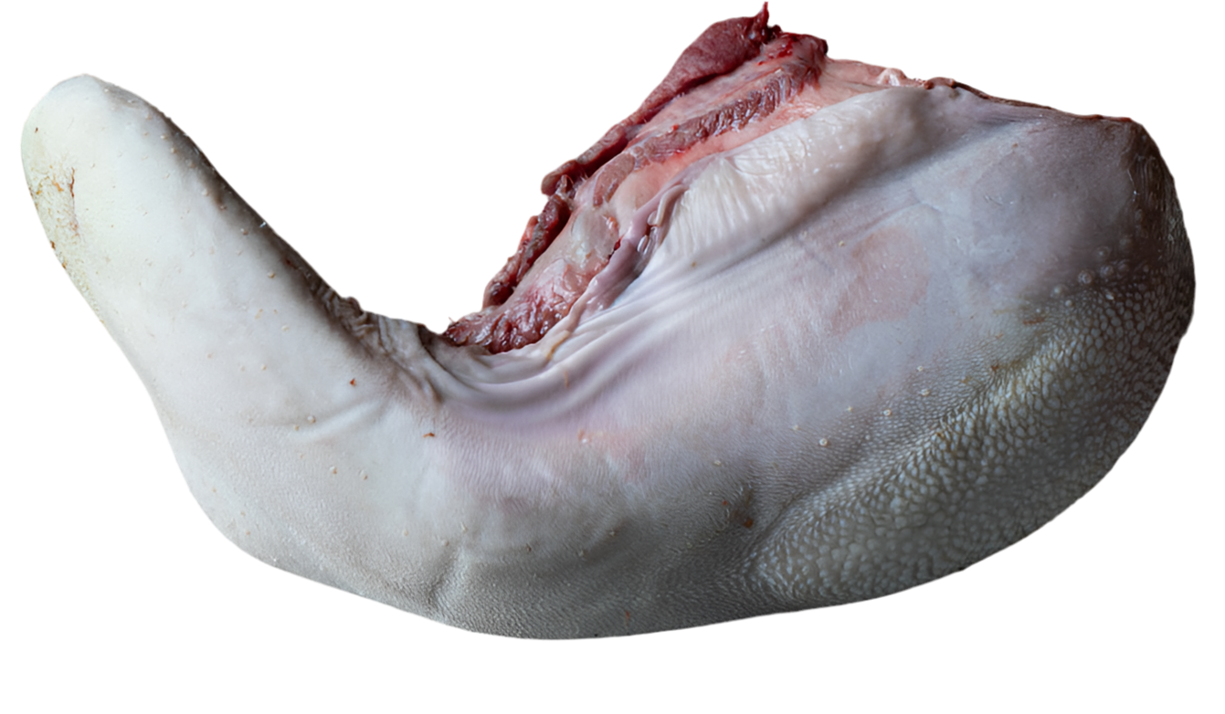 Raw beef tongue. $26.99/lb. Price adjustment at fulfillment. Approx 3.5lbs