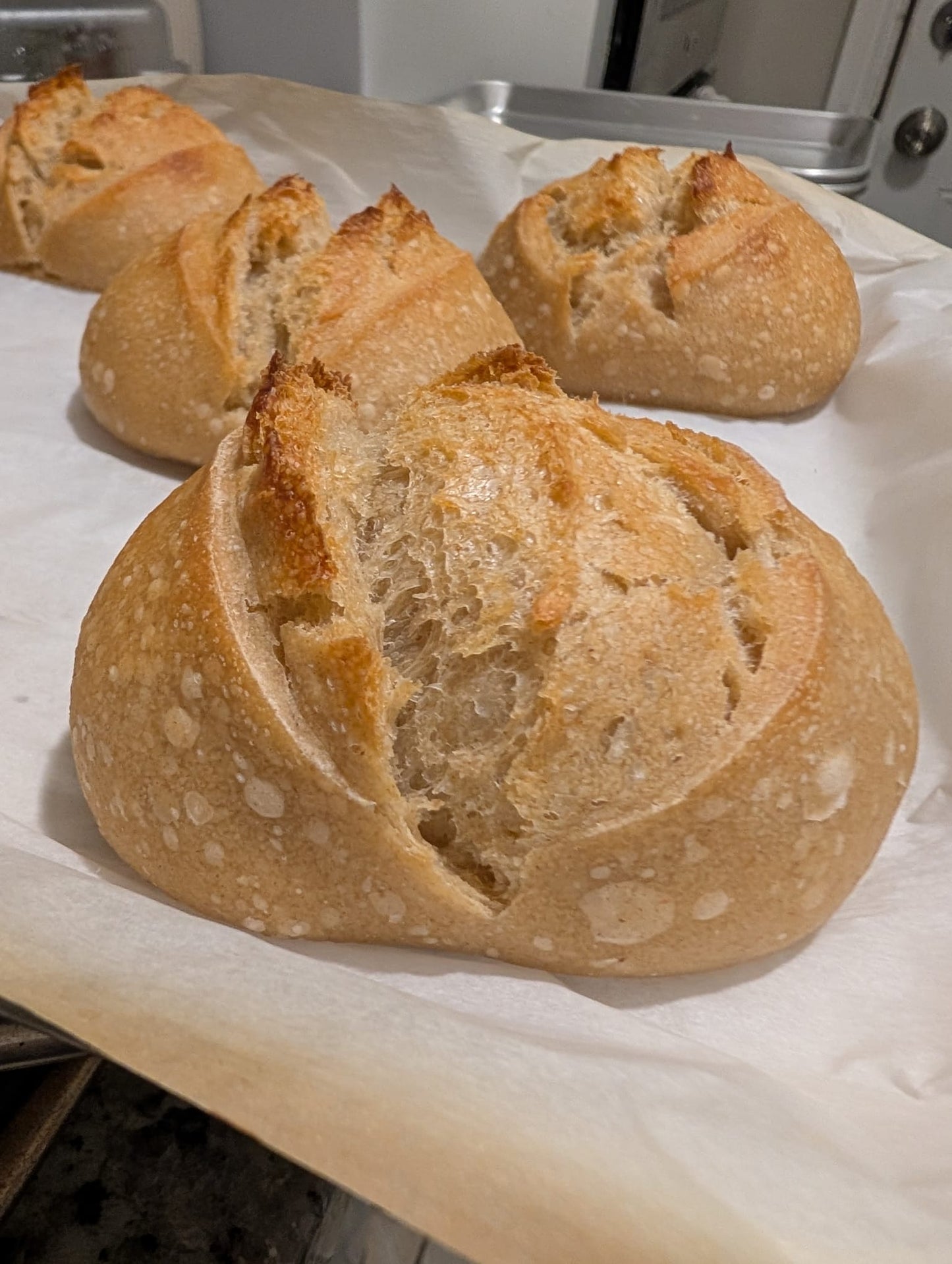 Crumbs Plain sourdough Rolls 4-pack