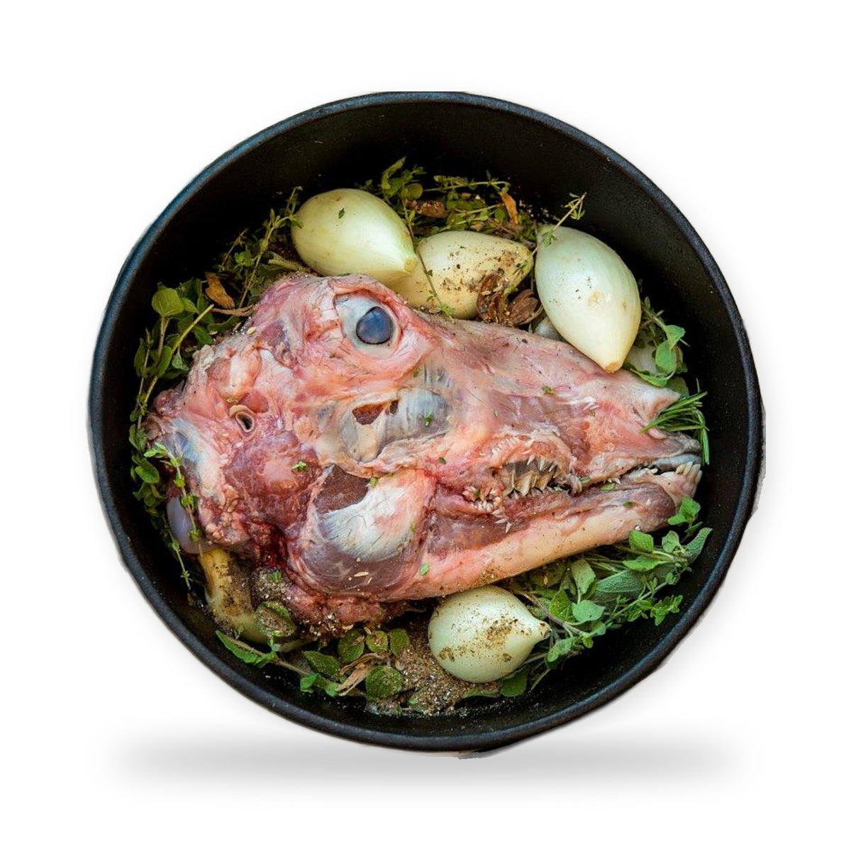Lamb head. For rosh hashana