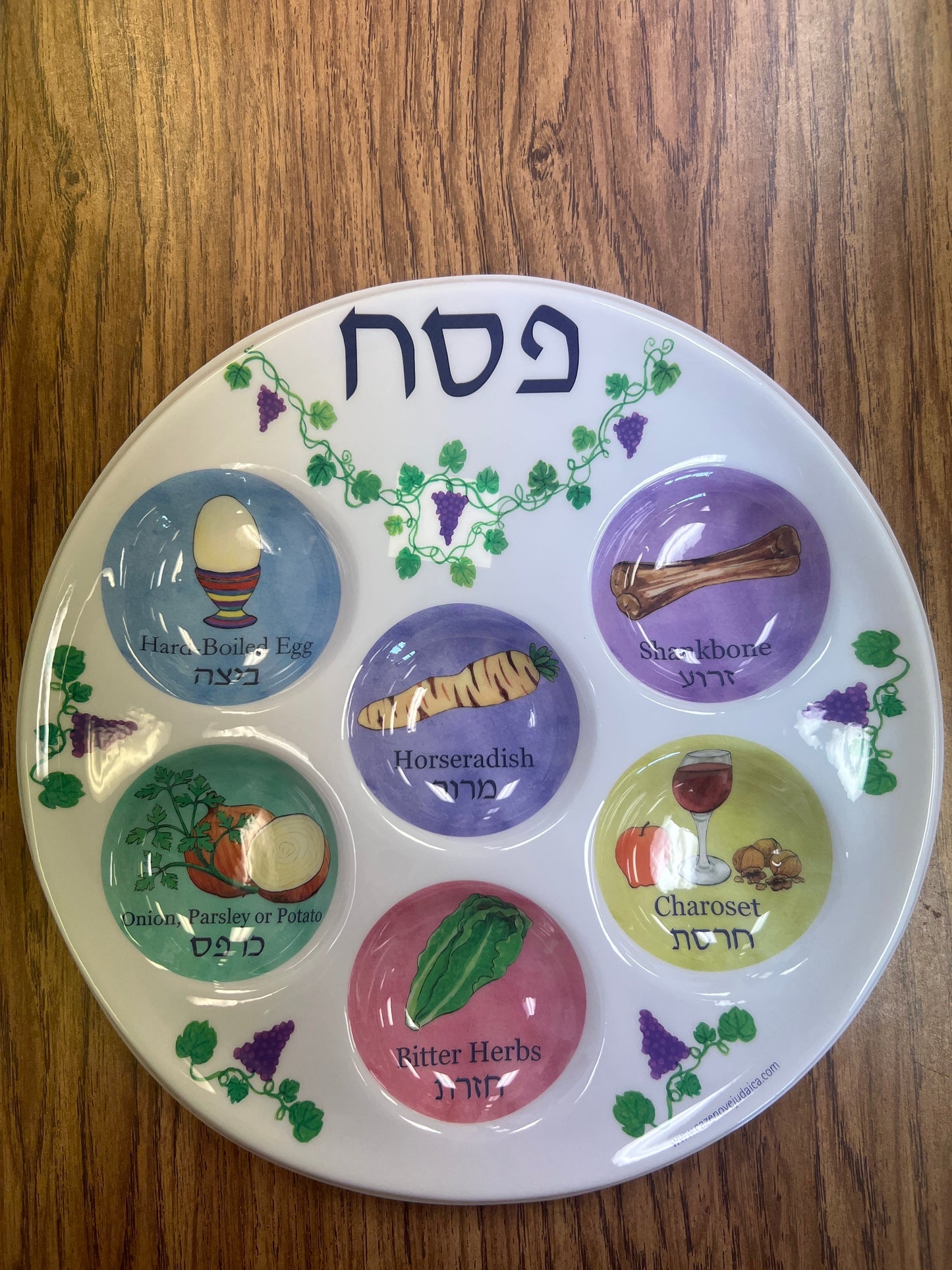 Pesach. Seder plate for kids and adults alike. Plastic for Passover