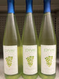 Rashi Joyvin White Wine Italy Mevushal