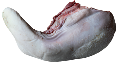 Raw beef tongue. $26.99/lb. Price adjustment at fulfillment. Approx 3.5lbs
