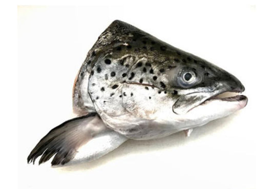 Salmon fish head for rosh hashana pre order