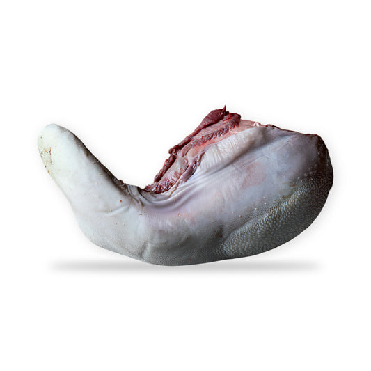 Raw beef tongue. $29.99/lb. Price adjustment at fulfillment. Approx 3.5lbs